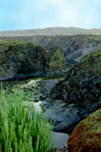 Canyon, Afrique du Sud