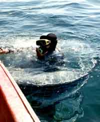 Le plongeur (moi !) et le Grand Requin Blanc