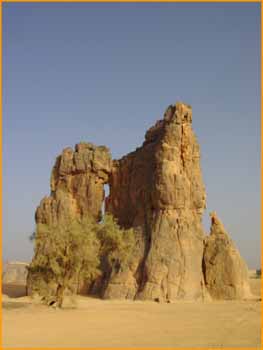 Tassili N'Ajjer