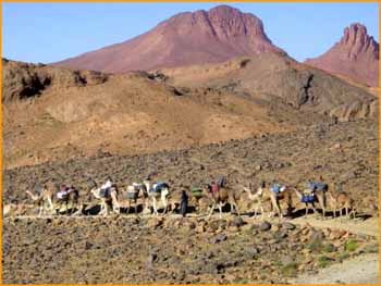 Tassili Hoggar