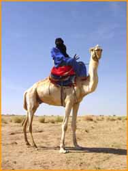 Touareg sur son dromadaire