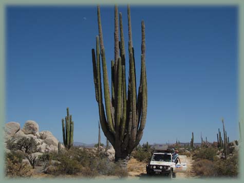 Mexique - Baja California