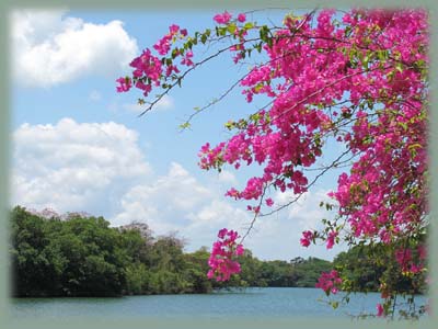 Belize - Amerique Centrale