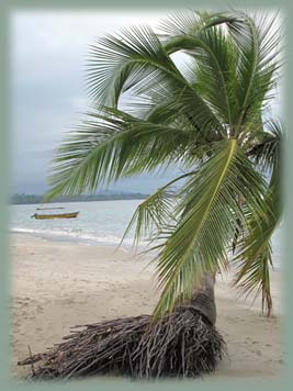 Costa Rica - Côte des caraibes