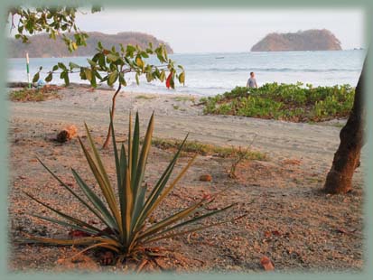 Costa Rica - Samara