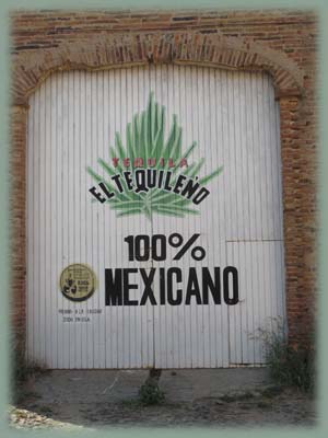Mexique - Tequila