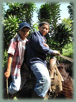 Panama - Chiriqui