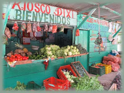 Panama - Chiriqui