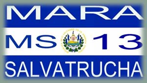 Le Salvador - La Mara