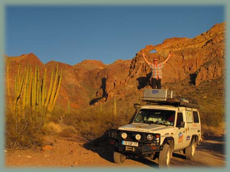 Organ Pipe - Etats-Unis