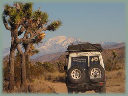 Joshua Tree NP