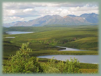 Alaska - Denali HWY