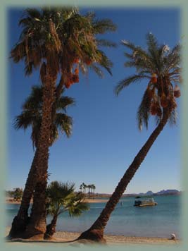 Lake Havasu - Etats-Unis