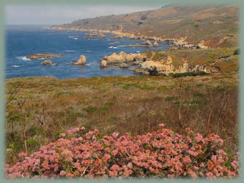 Etats-Unis - Big Sur