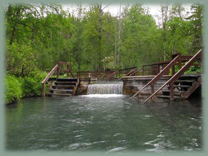 Liard Hot Springs - Canada