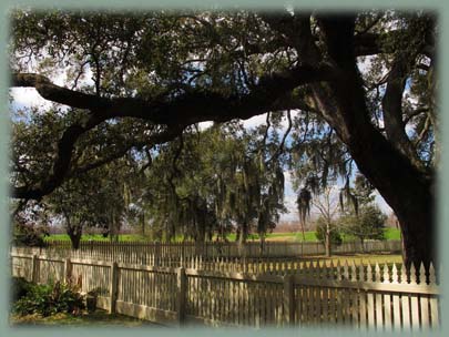 Laura Plantation - Louisiane