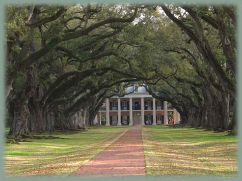 Oak Alley - Louisiane