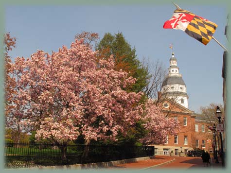 Annapolis - Maryland