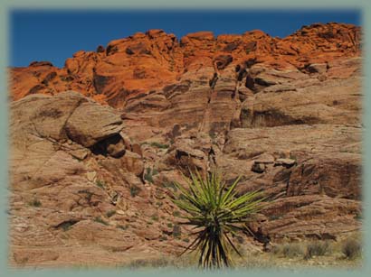 Red Rock Canyon - USA