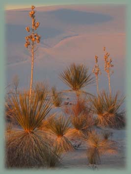 White Sands - Nouveau-Mexique