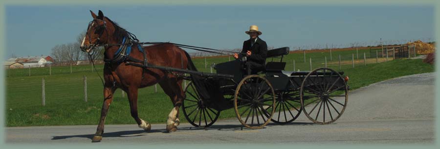 Amish - Pennsylvanie