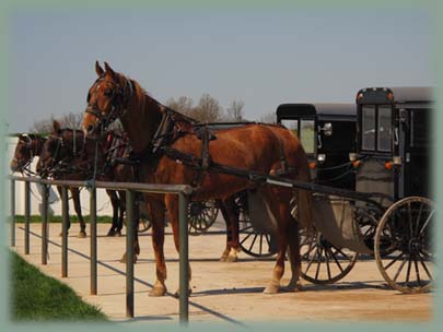 Amish - Pennsylvanie