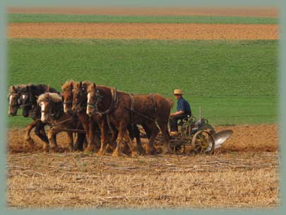 Amish - Pennsylvanie