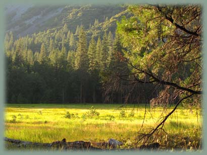 Yosemite - USA