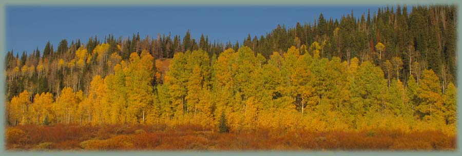 USA - Wyoming