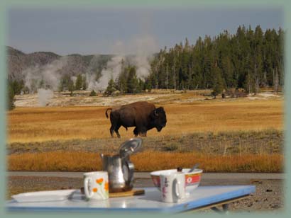 Yellowstone - Wyoming