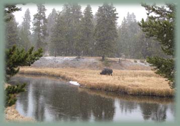 Wyoming - Yellowstone