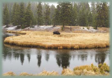 Wyoming - Yellowstone