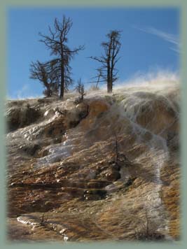 Yellowstone - Wyoming