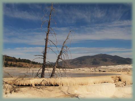 Yellowstone - Wyoming