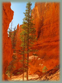 Bryce Canyon - Etats Unis