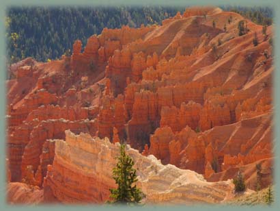 Cedar Breaks - USA