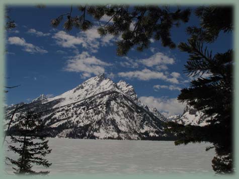 Grand Teton NP - USA