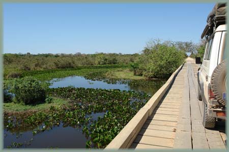 Brésil Pantanal - Amazonie