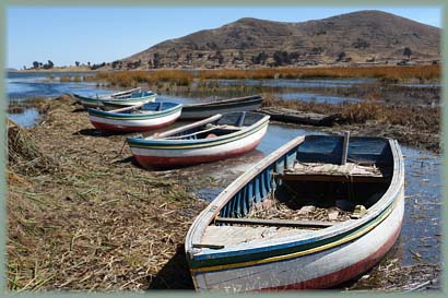 Bolivie - Lac Titicaca