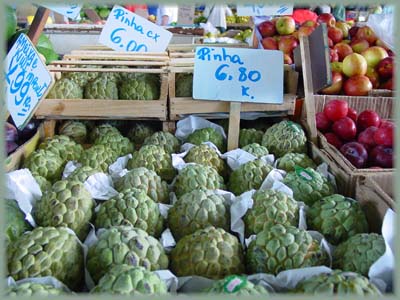 Annone écailleuse ou pomme cannelle (Annona muritaca) 