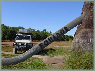 Brésil Pantanal - Amazonie