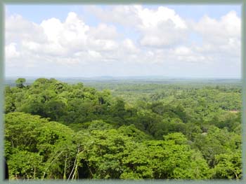 Guyane française