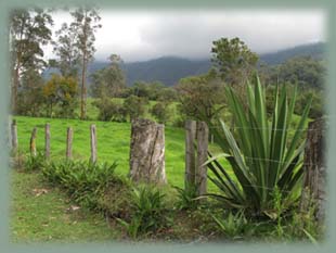 Colombie - Valle del Cocora