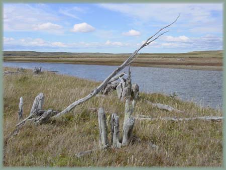 Terre de Feu - Argentine