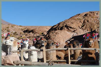 Bolivie - Sud Lipez