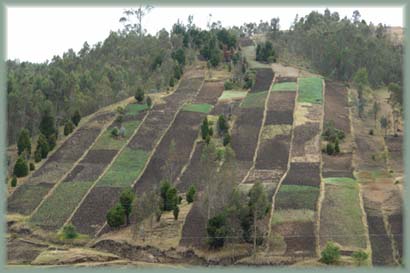 Equateur - Déforestation