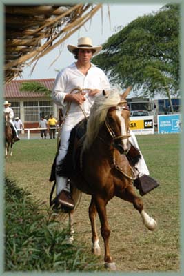 Équateur - Paso Peruano