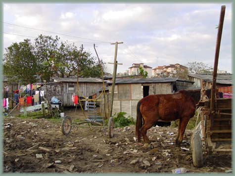 Brésil - Favela