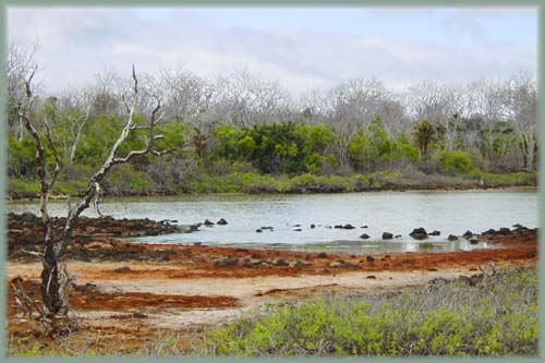 Galapagos - Équateur