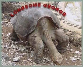 Galapagos - Lonesome George
